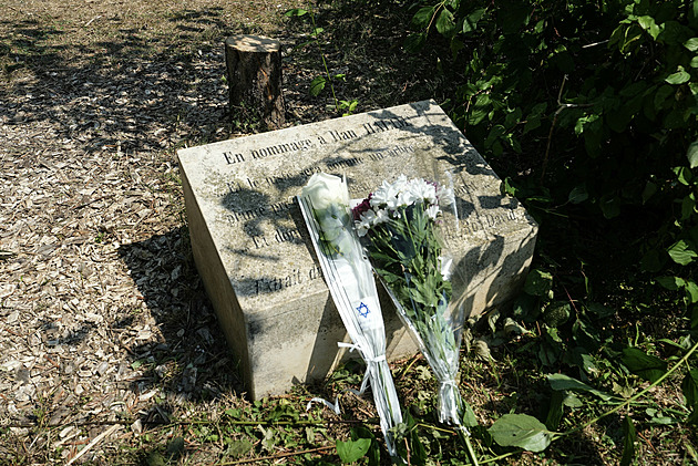 Francii pobouřilo pokácení stromu vysazeného na památku umučeného Žida