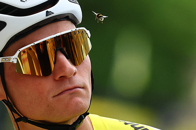 Van der Poel na MS v silniční cyklistice nepojede, zvažuje start mezi bikery