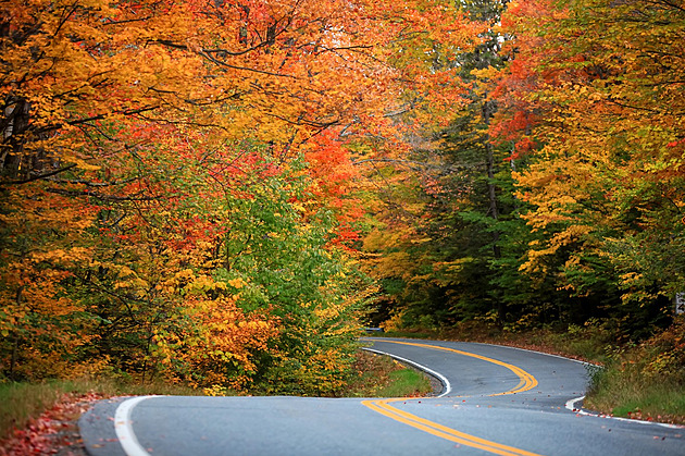 Kazíte nám podzim. Turistů už mají dost i obyvatelé Nové Anglie