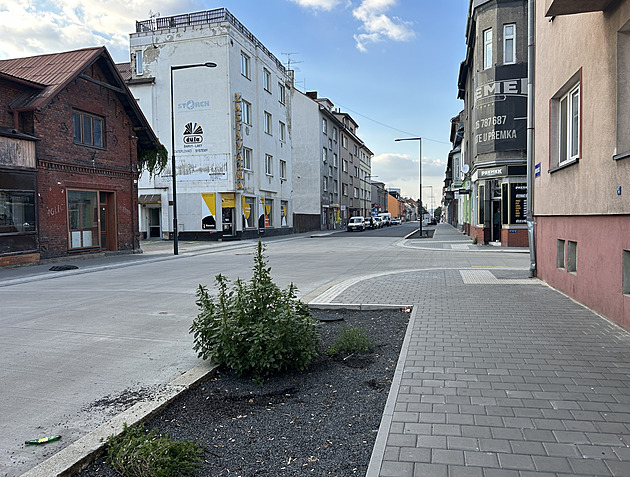 Ochrana a rozšiřování zeleně ve městě. Ostrava má hotovou koncepci