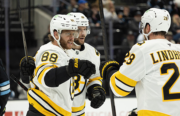 Pastrňák s Nečasem asistovali, tři čeští gólmani v NHL brali výhru