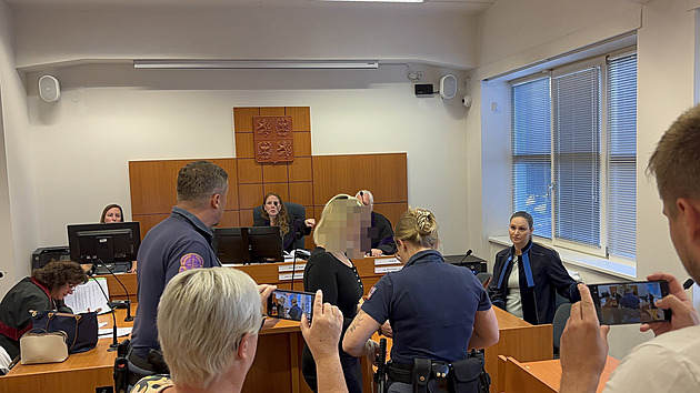 Nižší trest pro ženu, která dvakrát zkusila zabít manžela. Soud uznal argumenty