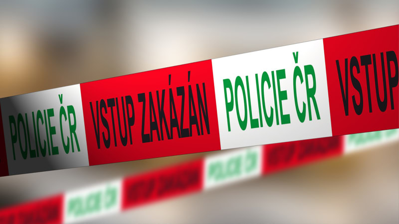 Tragédie v Plzni: Muž vyskočil z okna. Předtím napadal policisty, jeden skončil v nemocnici