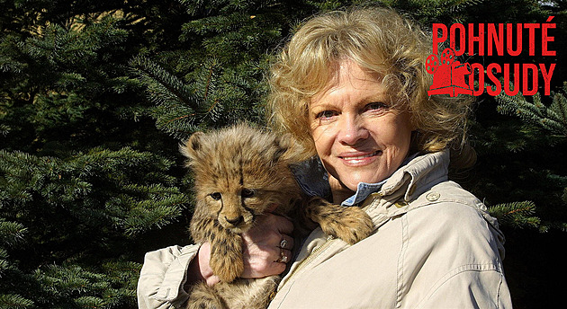 Pilarová málem zemřela při pádu letadla. Z rakoviny se uzdravila i díky léčitelům