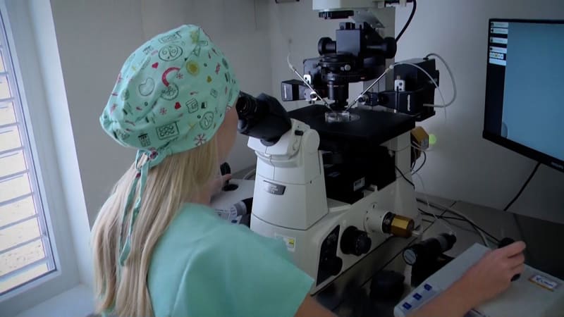  Česko jako centrum oplodnění? Důvodů je víc. Může za tím stát i atraktivita žen