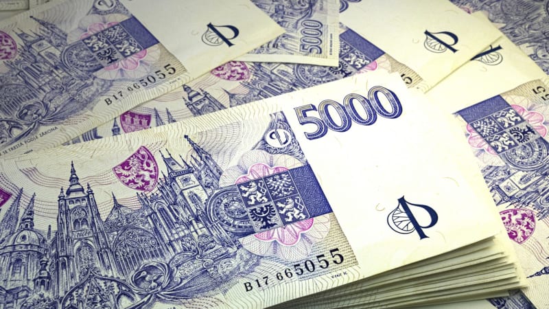 NKÚ pojmenoval problémy Česka: Stát dluží skoro 3,7 bilionu korun, navíc selhává v digitalizaci