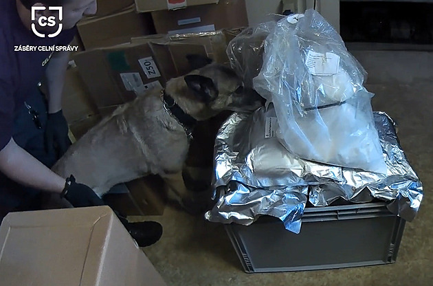 Celníci zajistili v provozovně 45 kilogramů kratomu, látku našel vycvičený pes